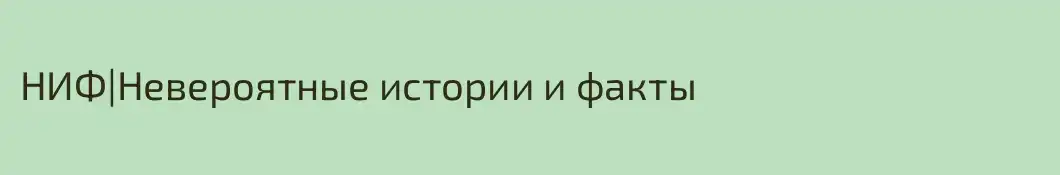 НИФ|Невероятные истории и факты